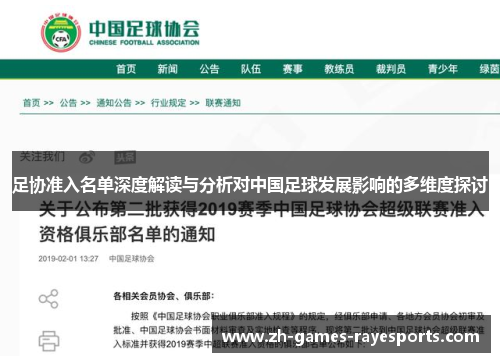 足协准入名单深度解读与分析对中国足球发展影响的多维度探讨